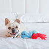 Ocean Pals Dog Toy Pack