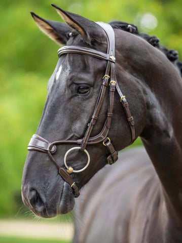 LeMieux Clear Arc Bridle - Havana