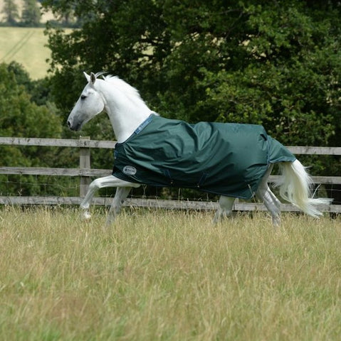 Close out of the LIME GREEN - Tipperary Horse Blankets, elastic leg straps  for horse blankets 